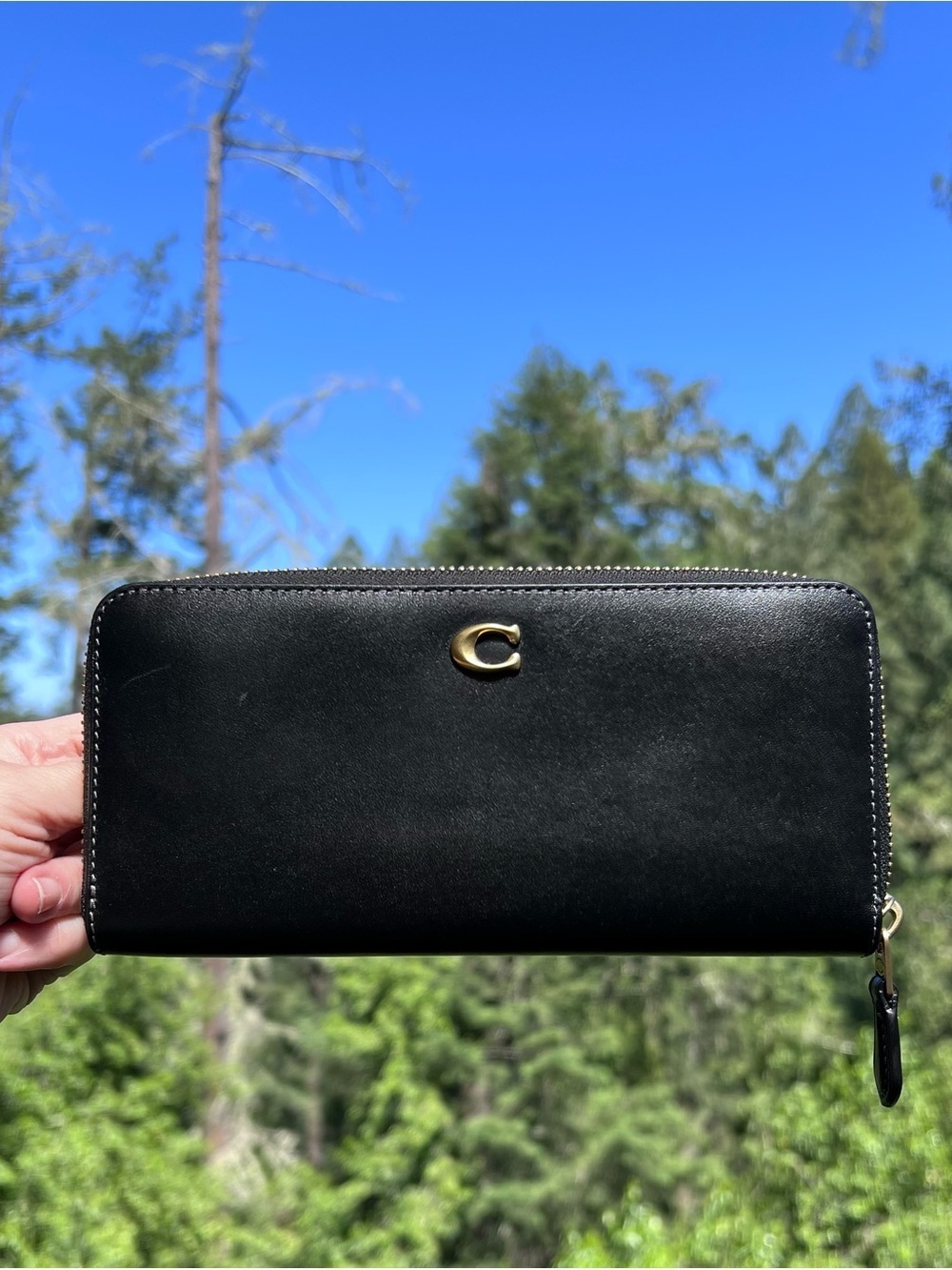 COACH Women's Essential Slim Accordion Zip Wallet Smooth BLACK Leather w Gold